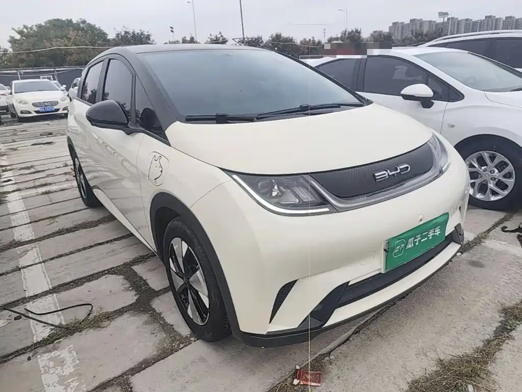 BYD Dolphin — миниатюра 4