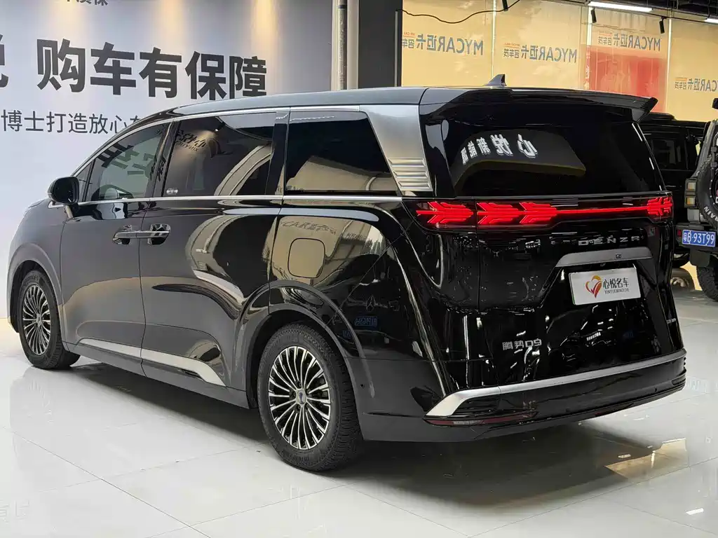 Denza Denza D9 — миниатюра 7