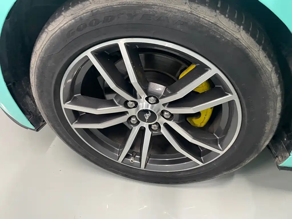 Ford Mustang — миниатюра 13