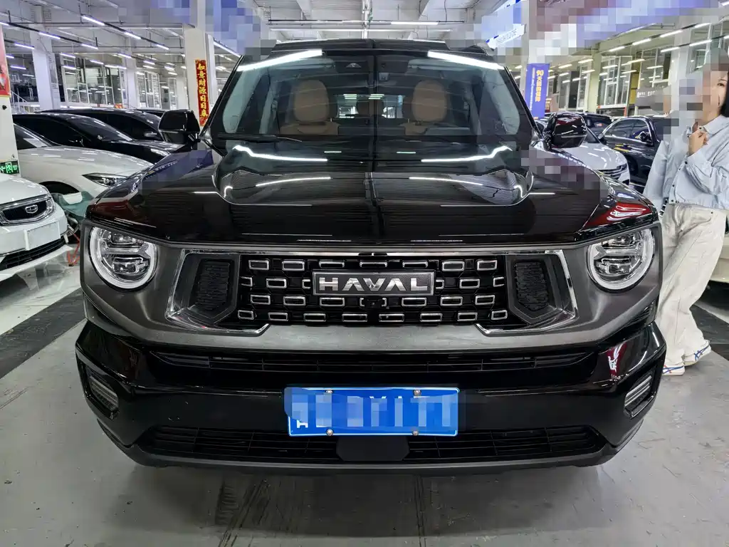 Haval Big Dog PLUS — миниатюра 2