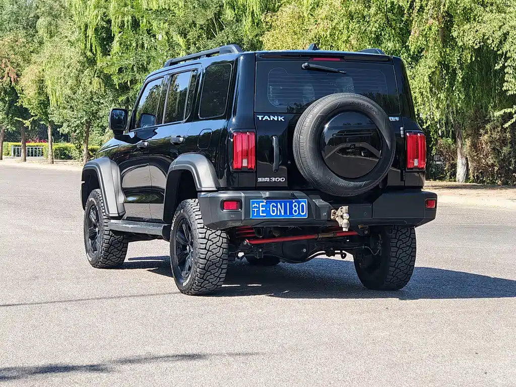 Tank Tank 300 — миниатюра 12