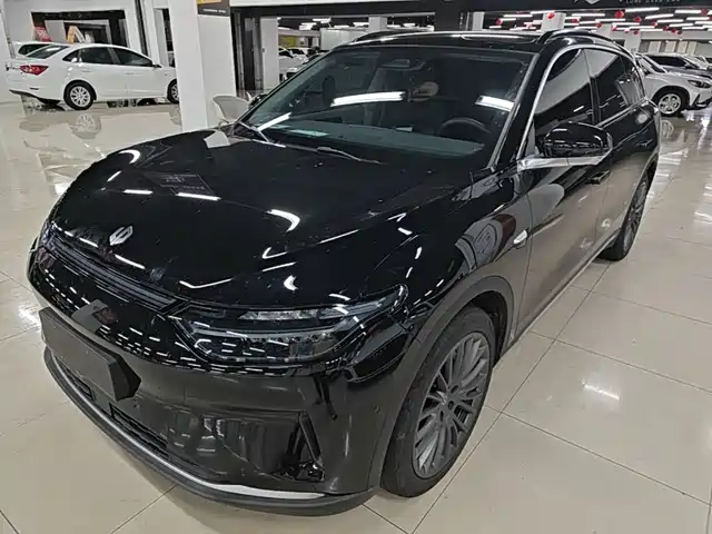2023 Leapmotor C11