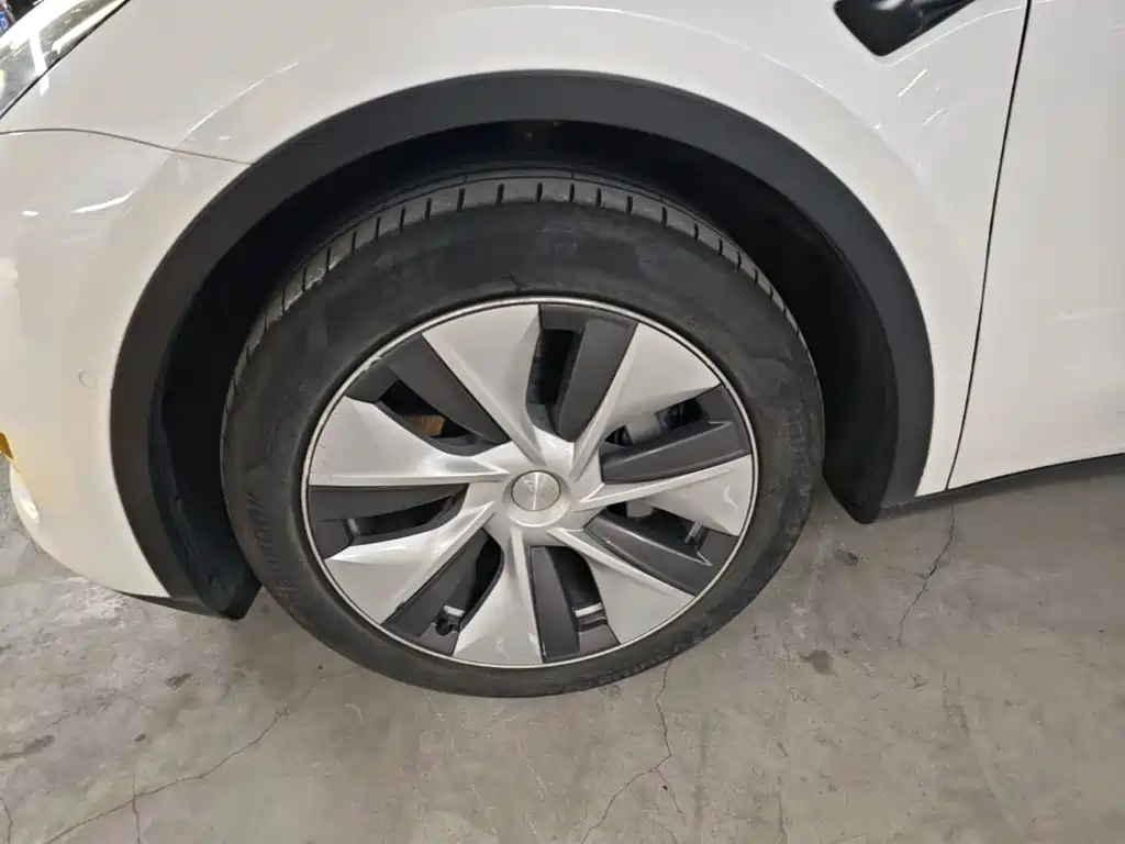 Tesla Model Y — миниатюра 23