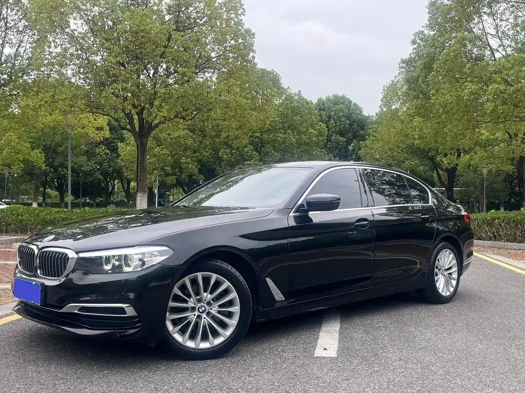 BMW 5 Series 5 2020 525Li Luxury