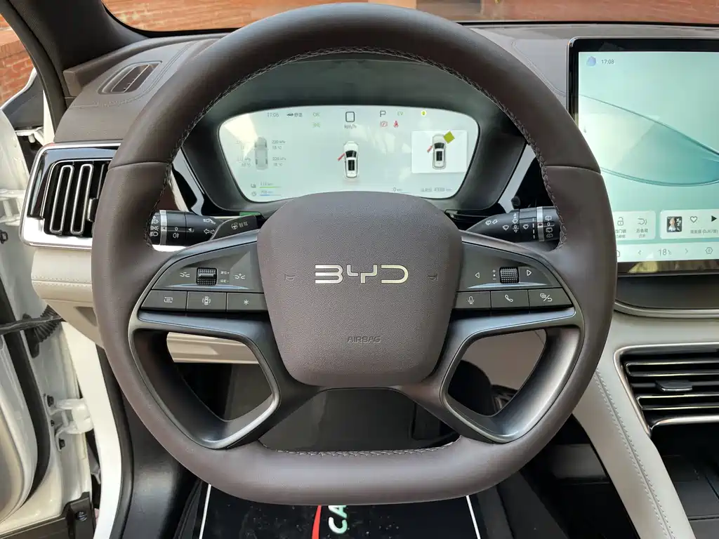 BYD SONGJIANG NEW ENERGY