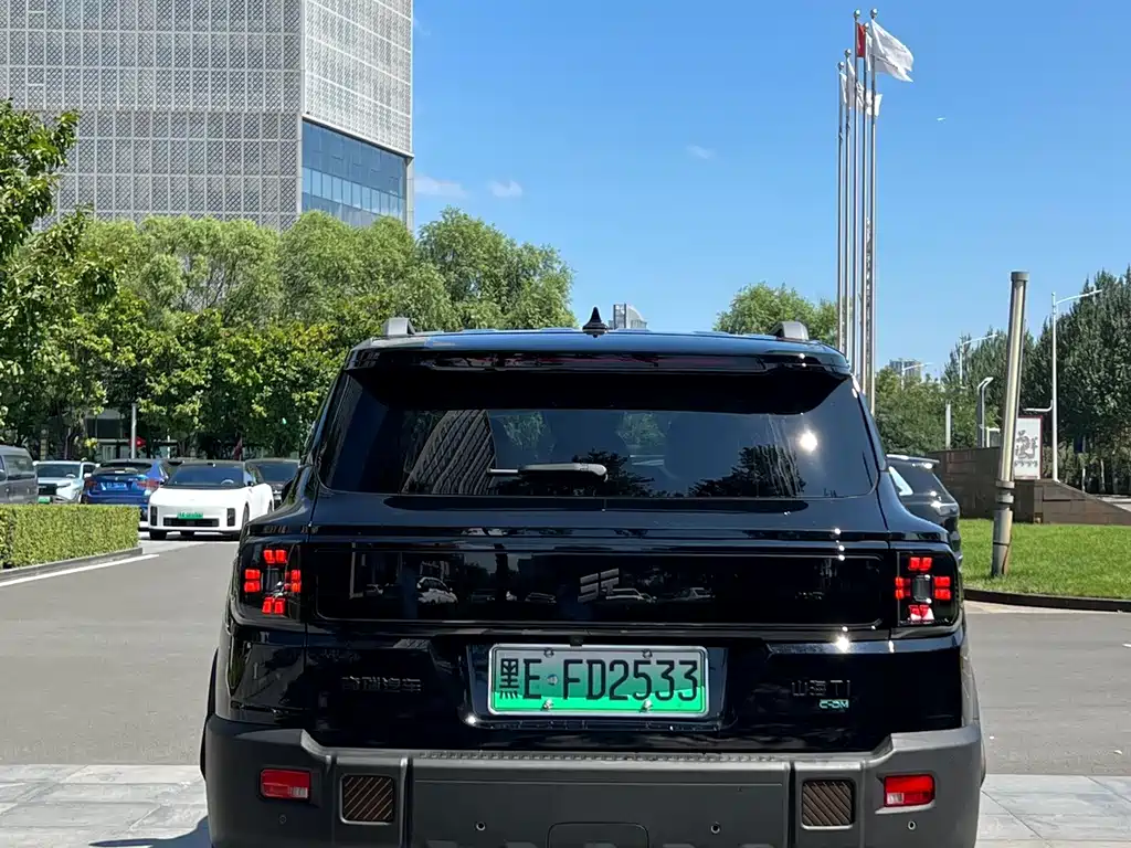 Shanhai Shanhai T1 — миниатюра 10