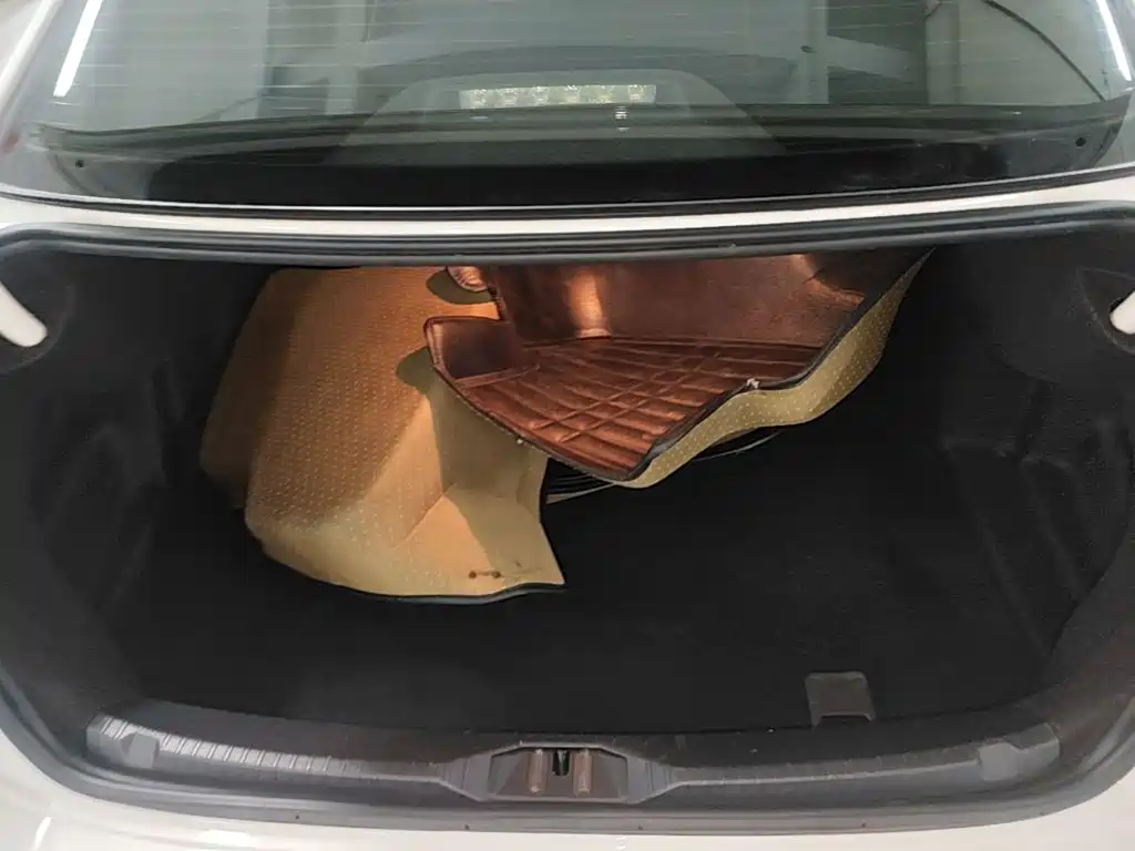 Volkswagen Lamando — миниатюра 19