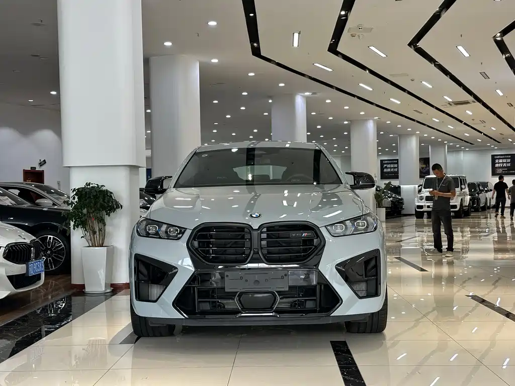 BMW X6 M — миниатюра 2