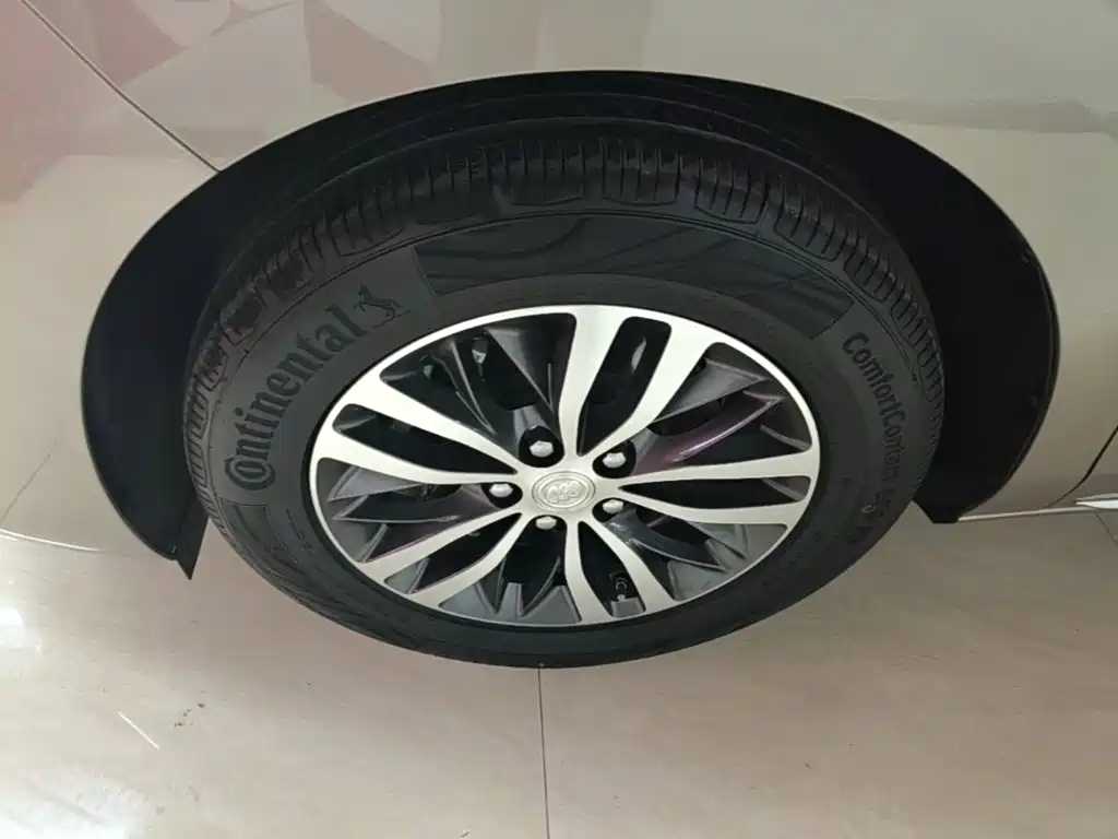 Buick GL8 — миниатюра 23