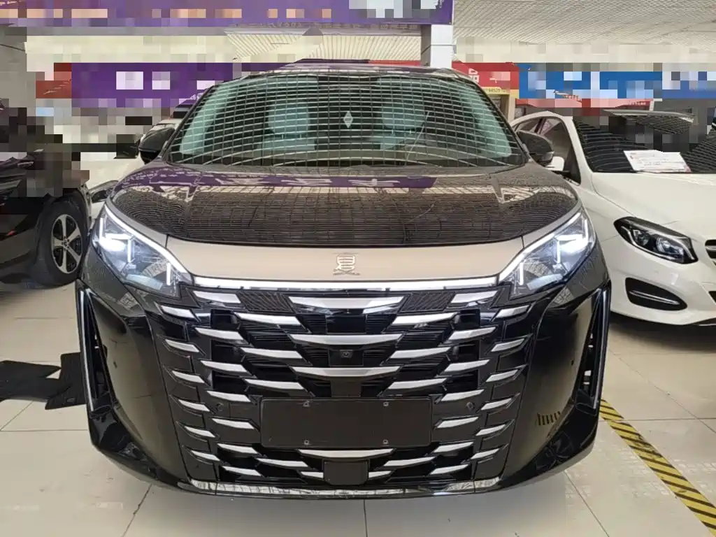 BYD Xia — миниатюра 3