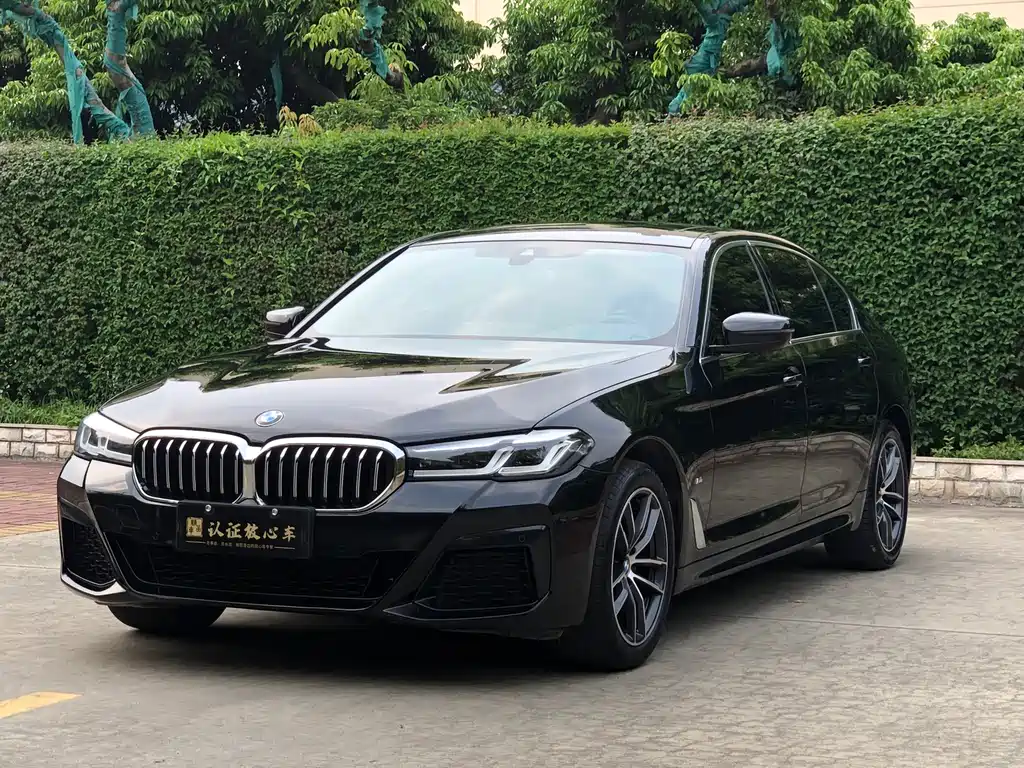 BMW 5 Series 2022