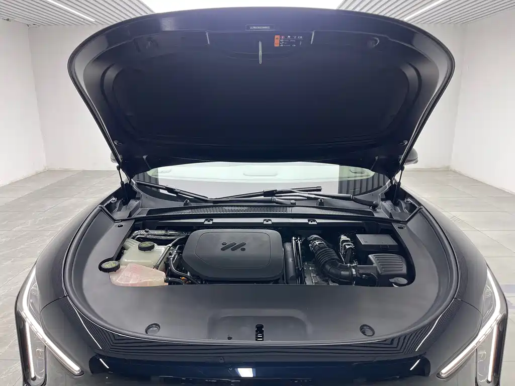 IM IM LS6 — миниатюра 9