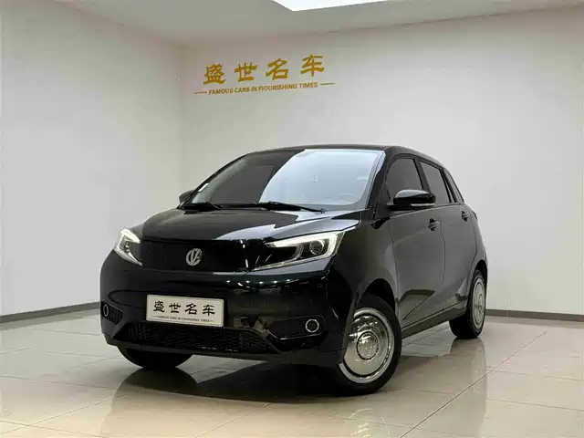 EV HOUSE YOUNG YOUNG GUANG XIAOXIN 2022