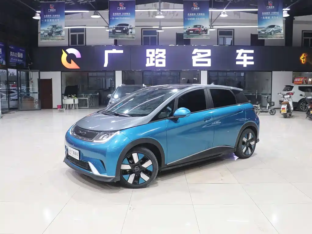 BYD Dolphin 2023 401km