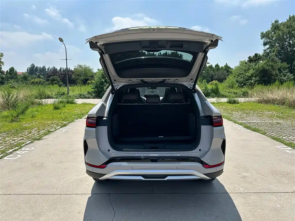 BYD Song Plus PLUS 2025 DM-i 112KM Luxury