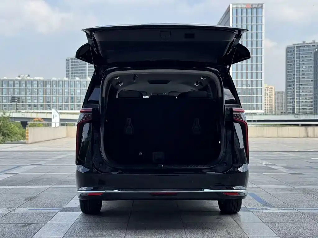 MAXUS Dajia 9 — миниатюра 10