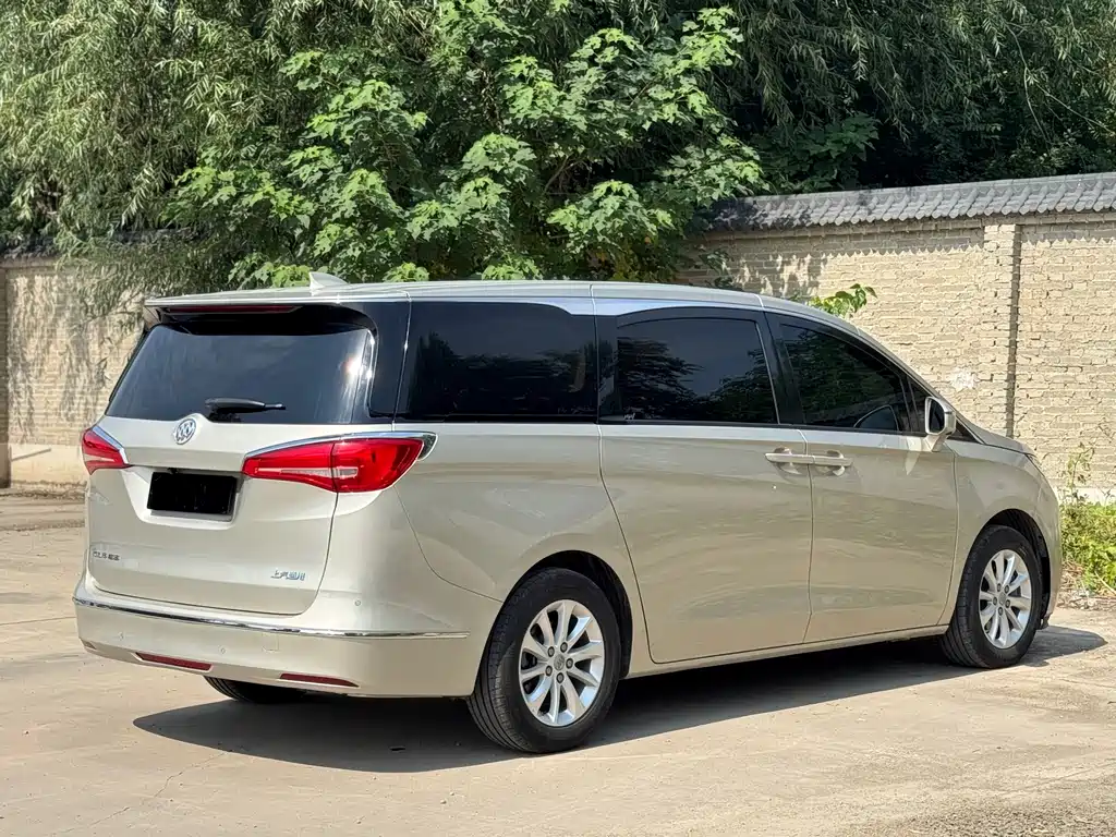 Buick GL8 — миниатюра 5