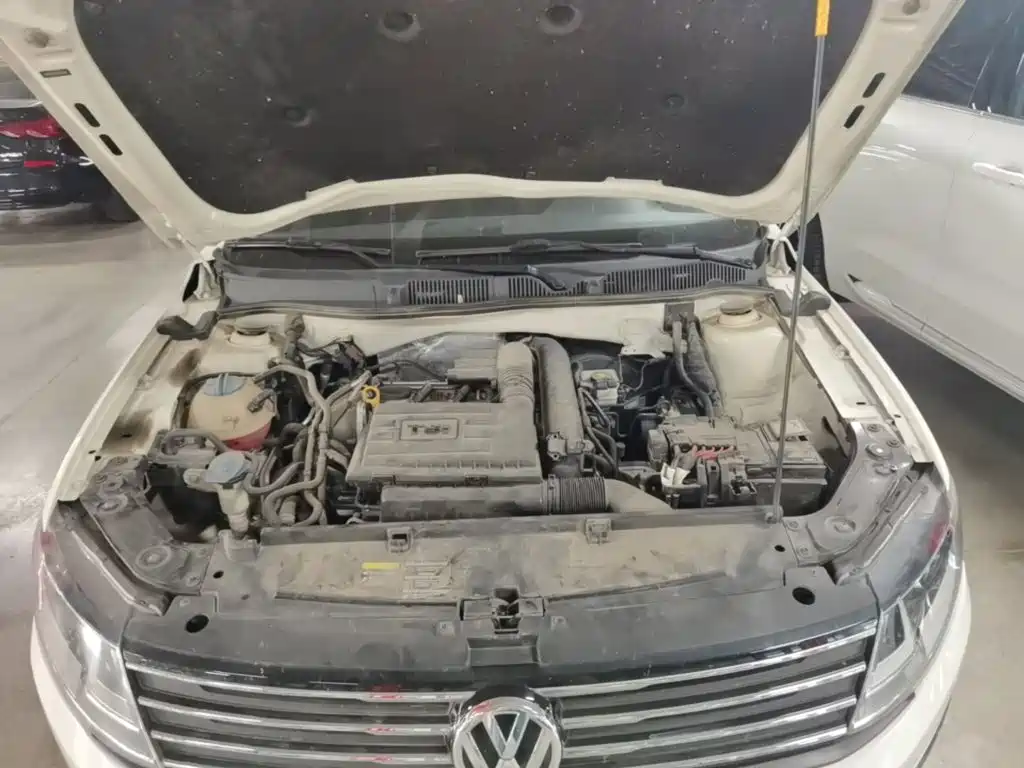 Volkswagen Gran Lavida — миниатюра 20