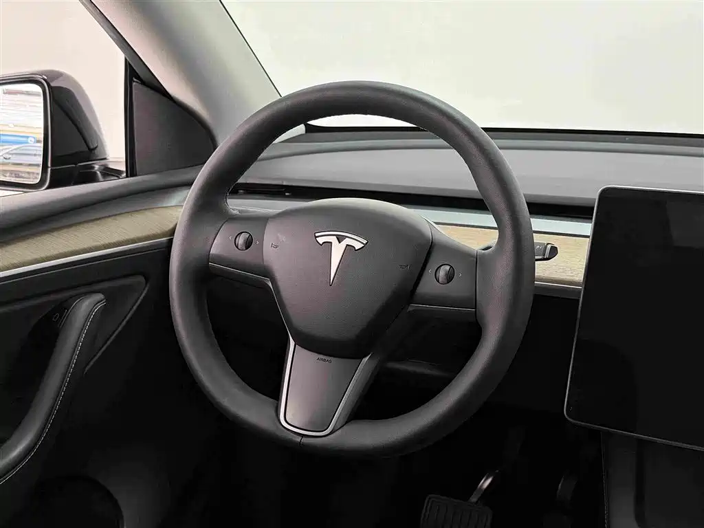 Tesla Model Y — миниатюра 7