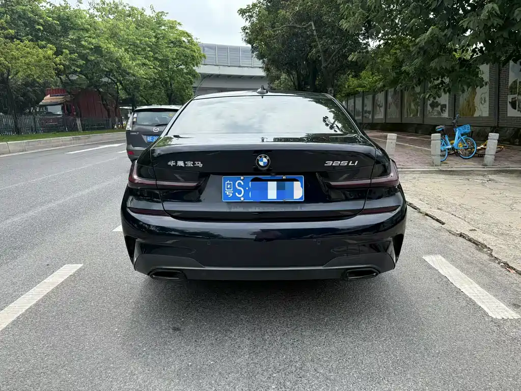 BMW 3 Series 3 2020 325Li