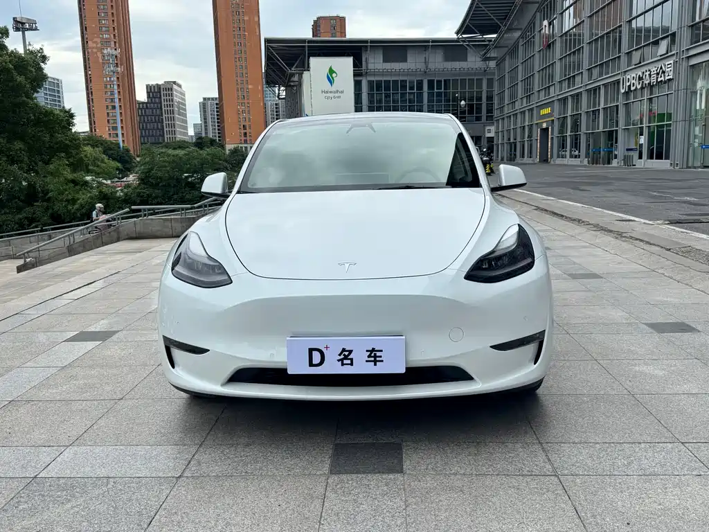 Tesla Model Y 2021 3D7