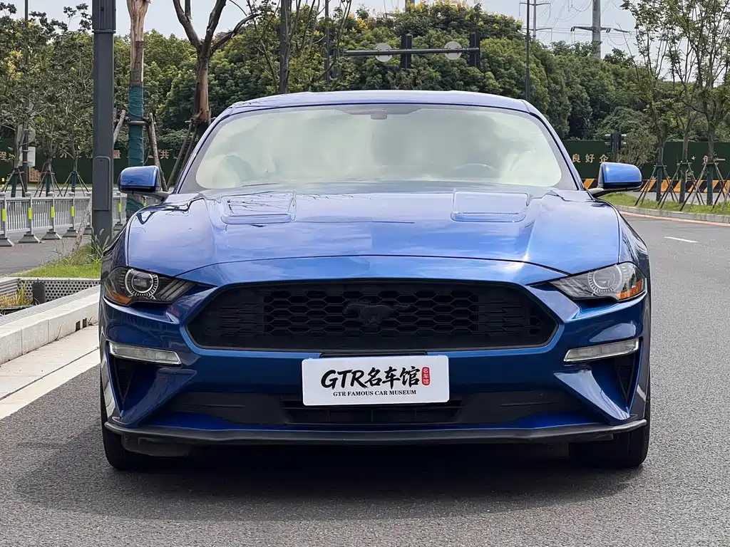 Ford Mustang — миниатюра 2