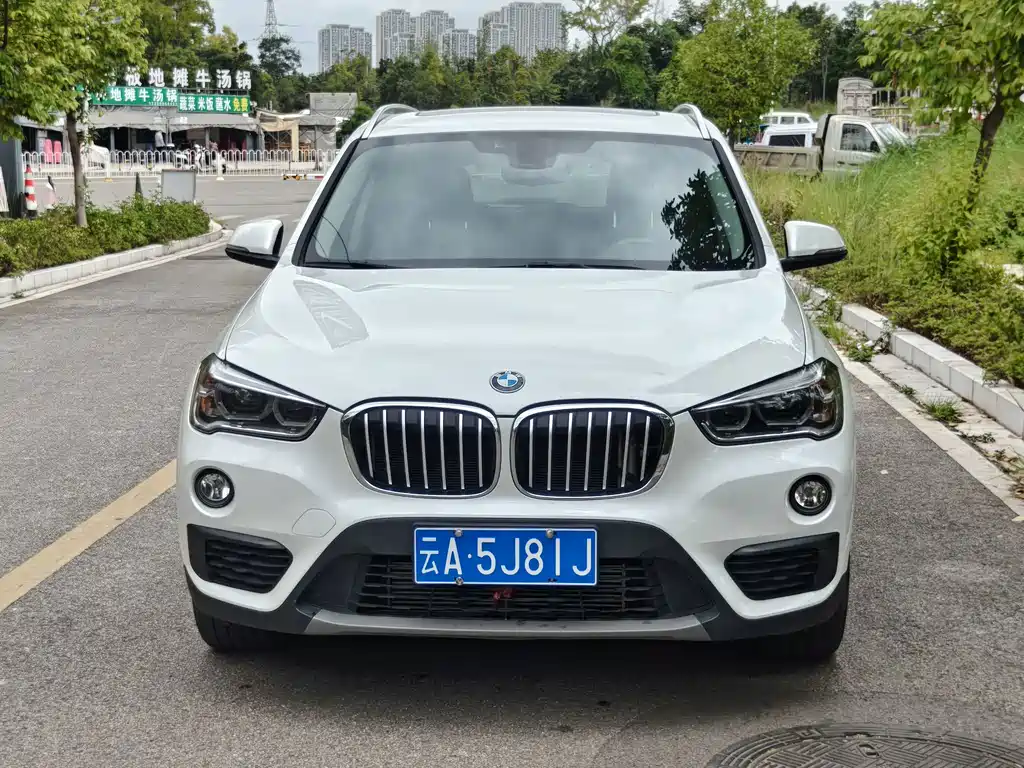 BMW X1 — миниатюра 2