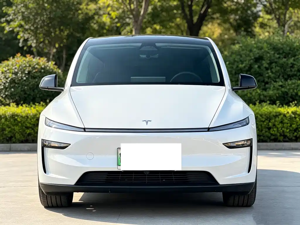 Tesla Model Y — миниатюра 2