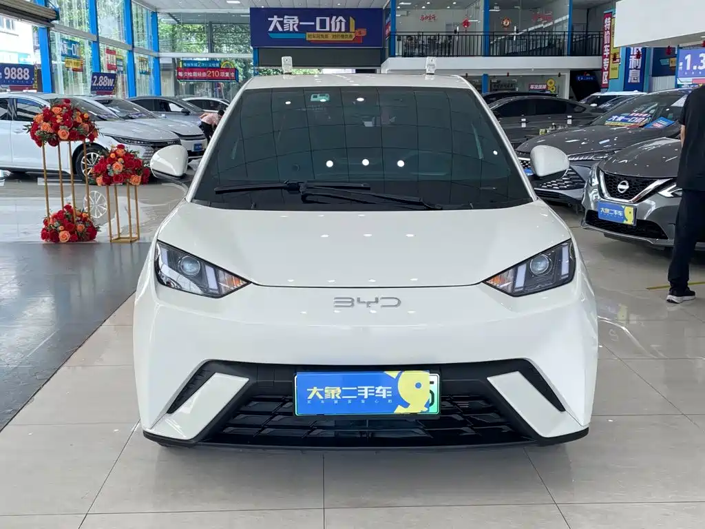 BYD Seagull — миниатюра 2