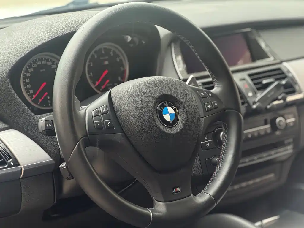 BMW X5 M X5 M, фото 8