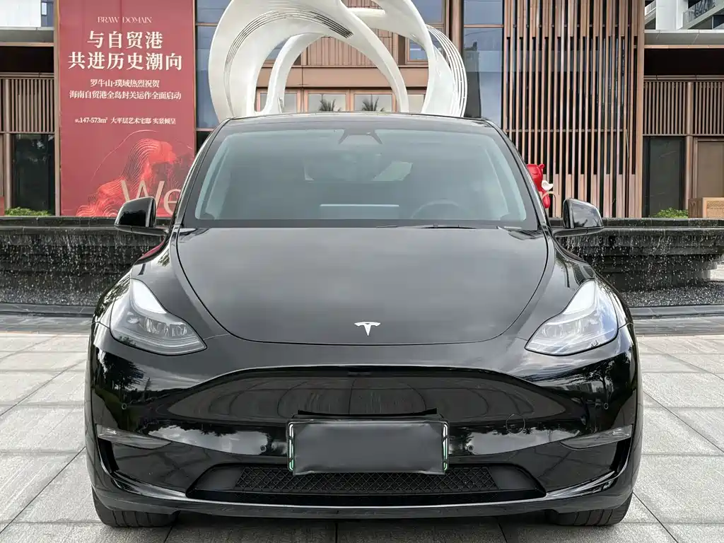 Tesla Model Y — миниатюра 3