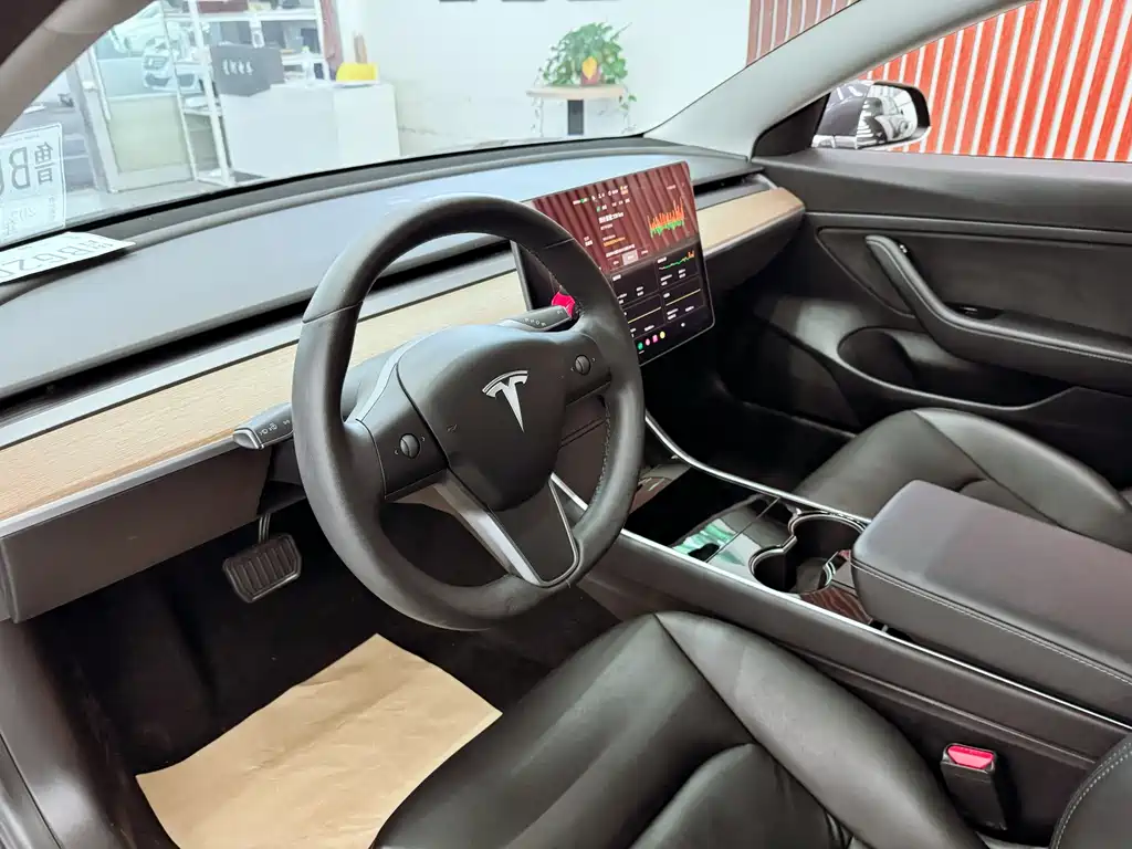 Tesla Model 3 — миниатюра 15