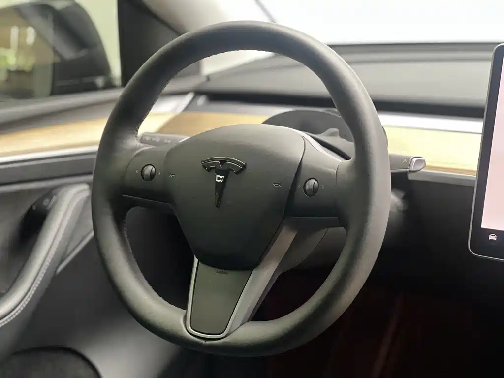 Tesla Model Y — миниатюра 13