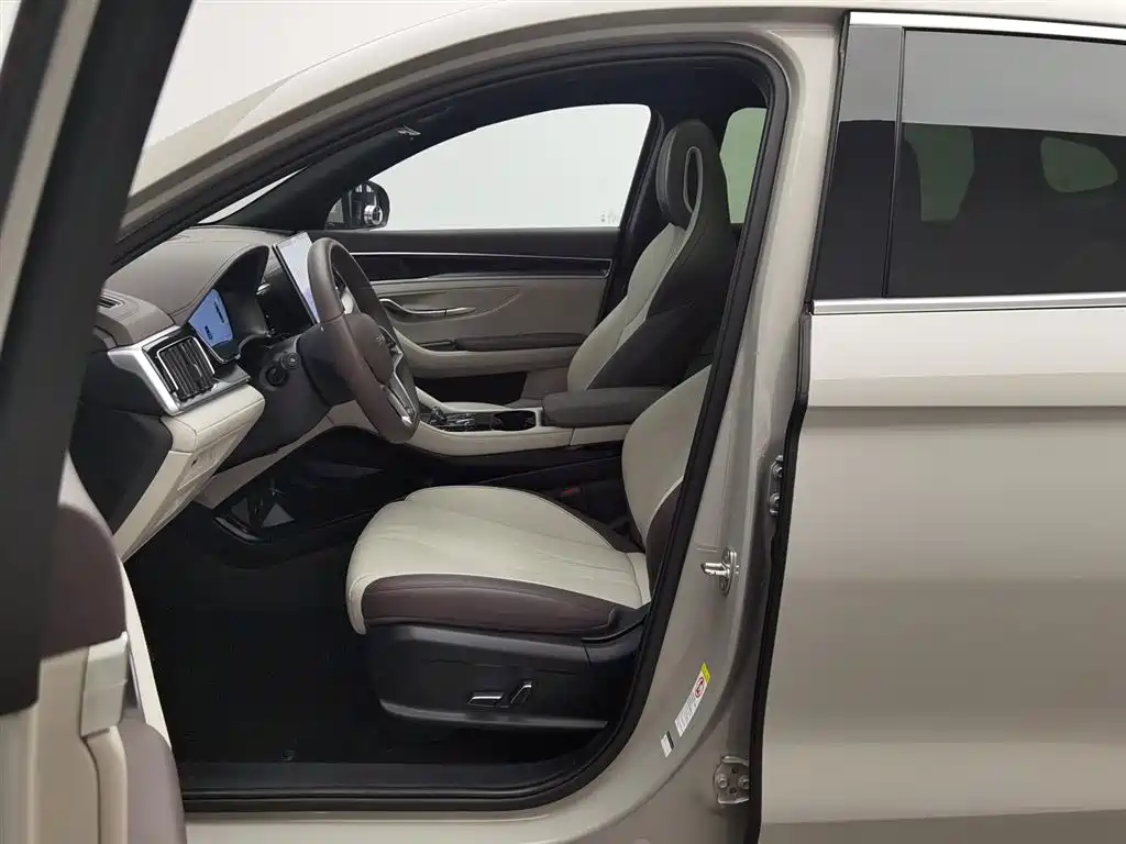 BYD SONGJIANG NEW ENERGY