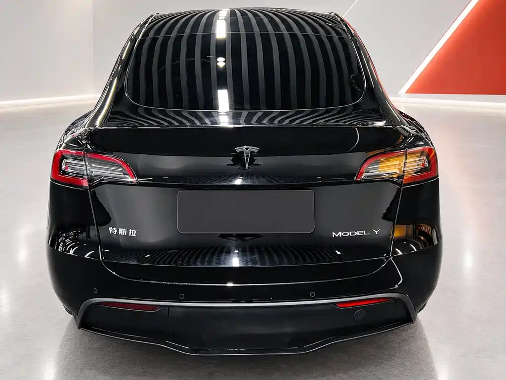 Tesla Model Y — миниатюра 5