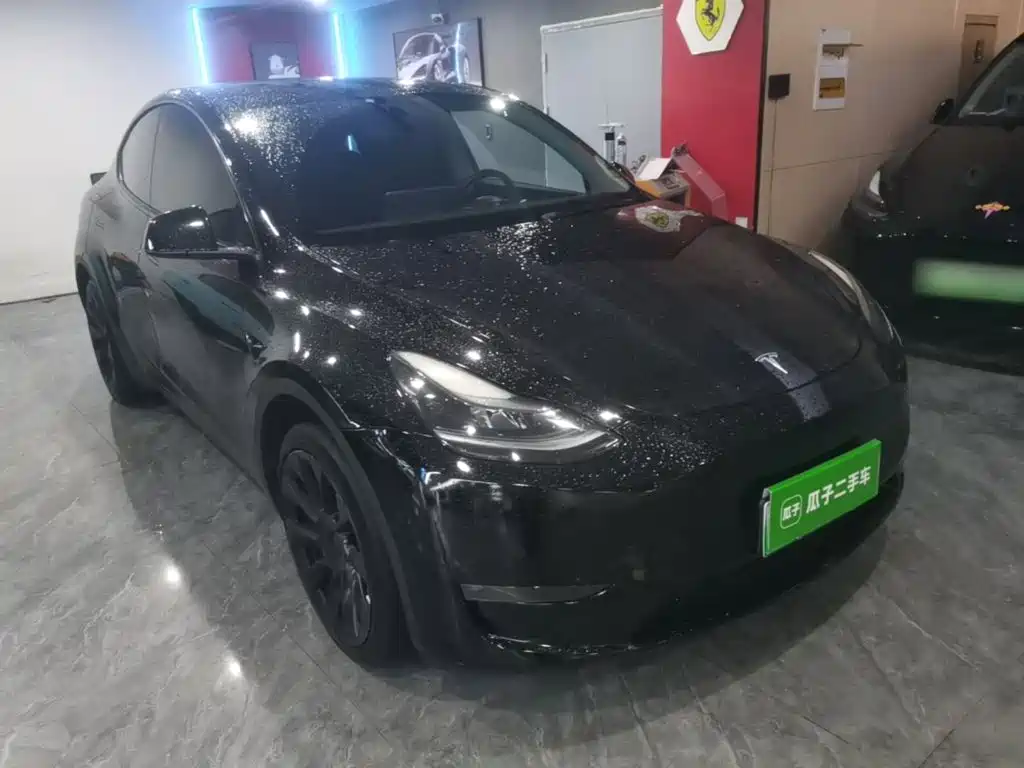 Tesla Model Y — миниатюра 4