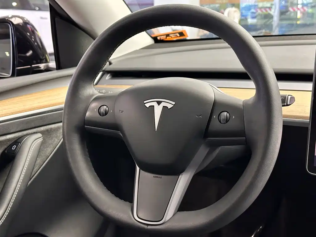 Tesla Model Y — миниатюра 10