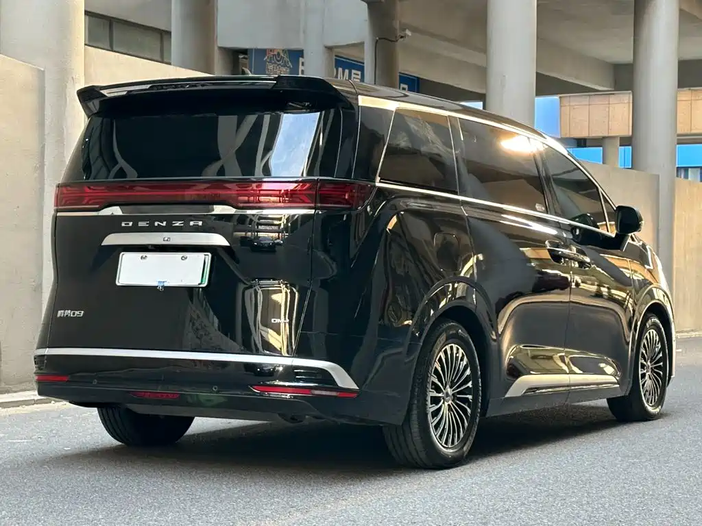 Denza Denza D9 — миниатюра 5
