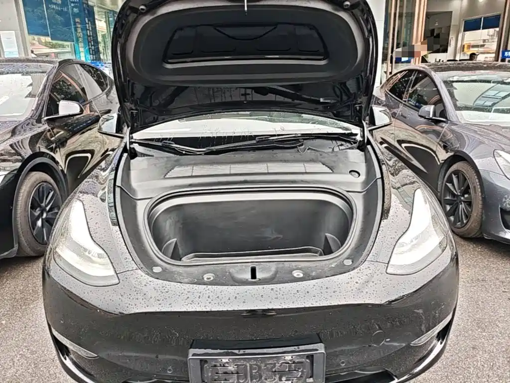 Tesla Model Y — миниатюра 20