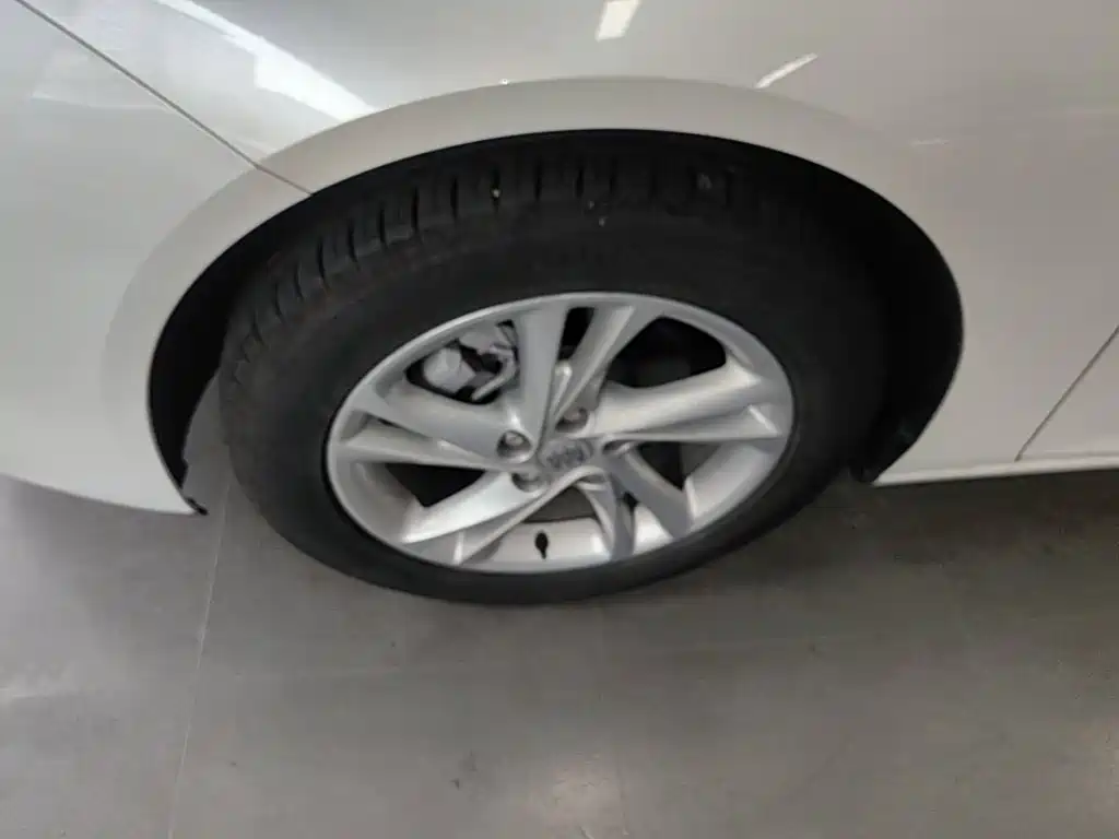 Buick Regal — миниатюра 23