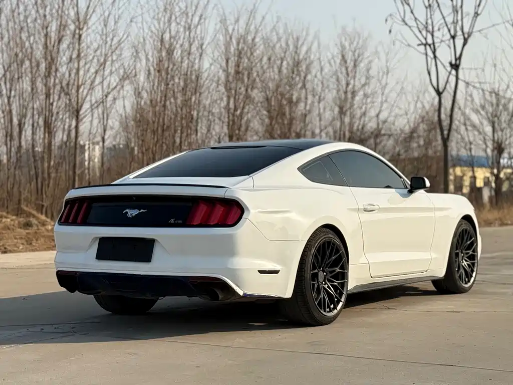 FORD MUSTANG