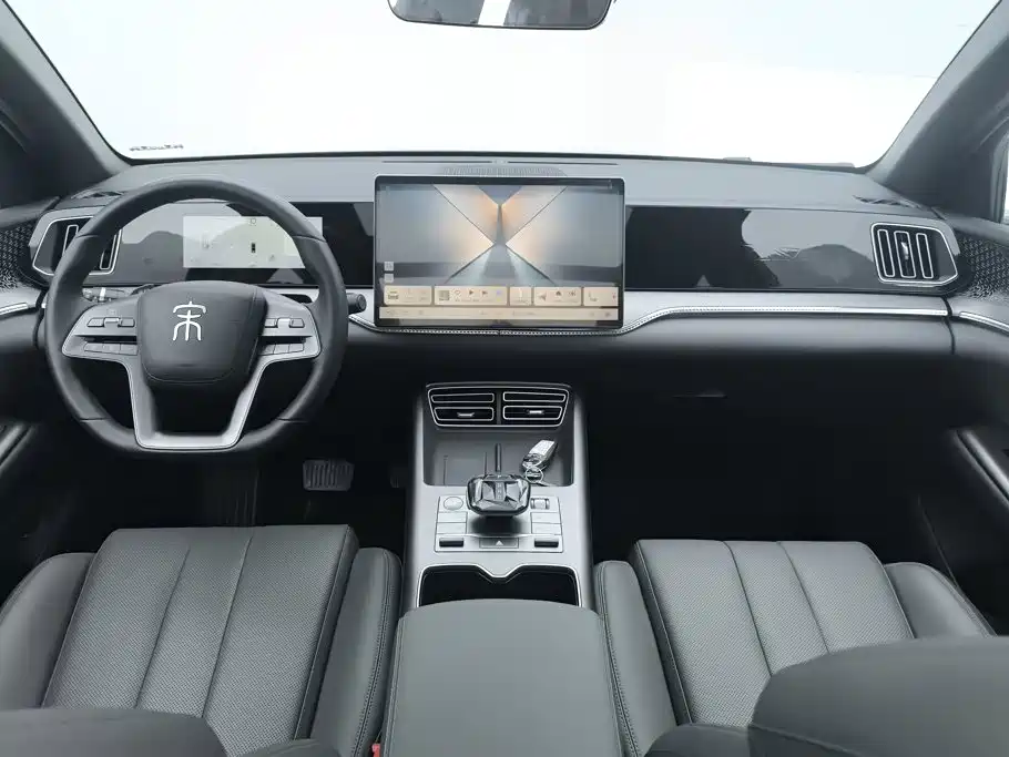 BYD Pro New Energy — миниатюра 12