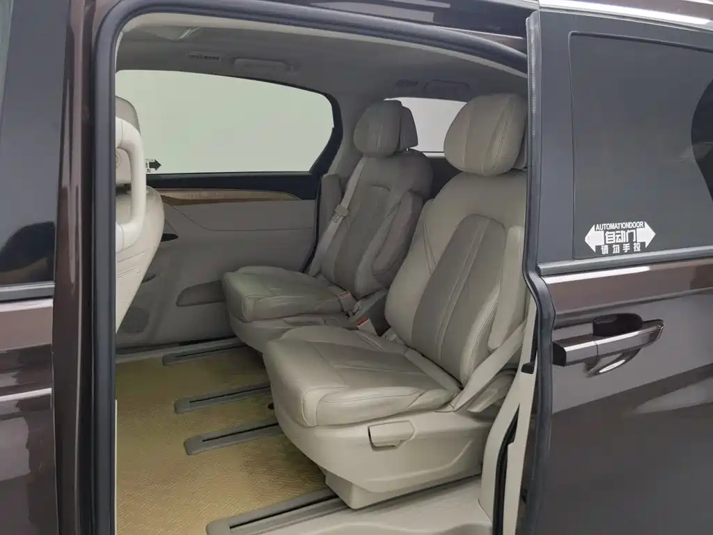 Buick GL8 — миниатюра 15