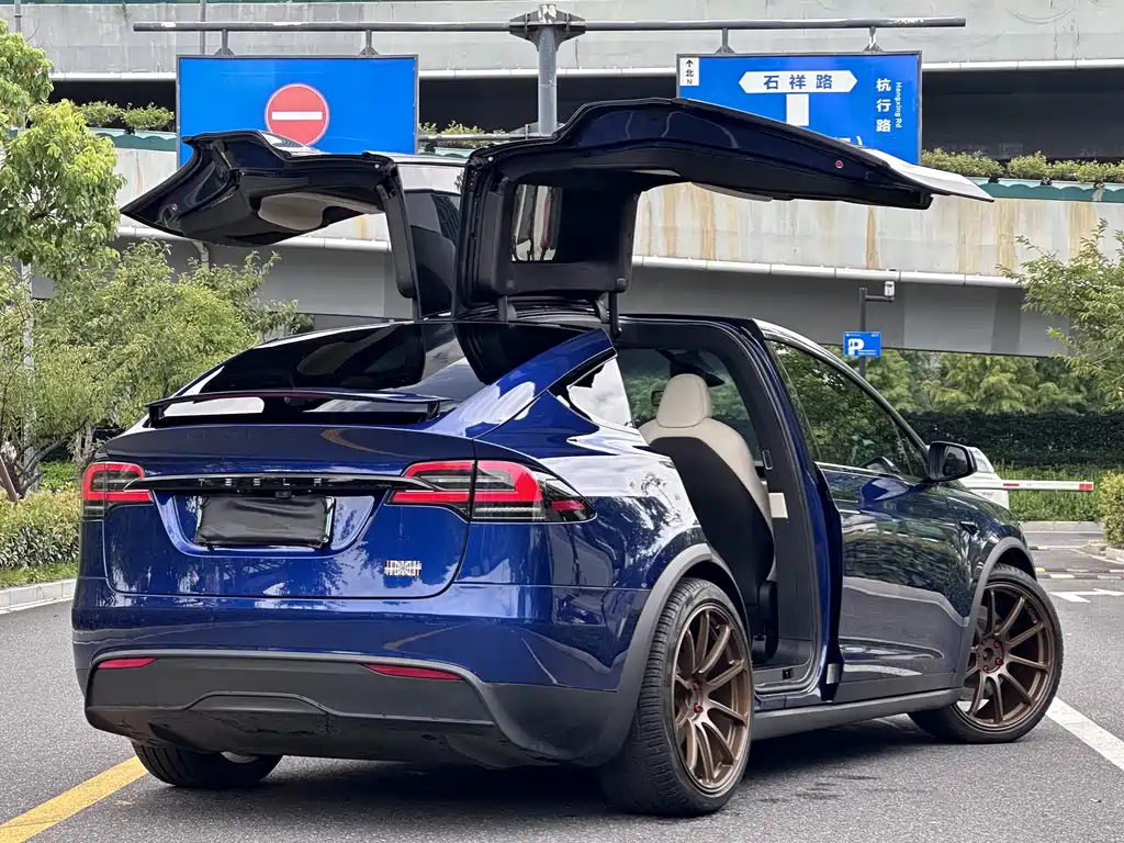Tesla Model X — миниатюра 24