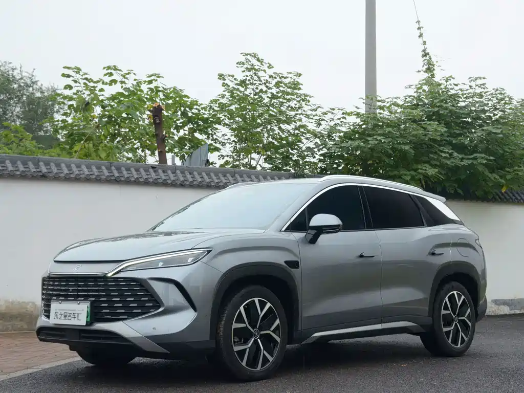 BYD L DM-i