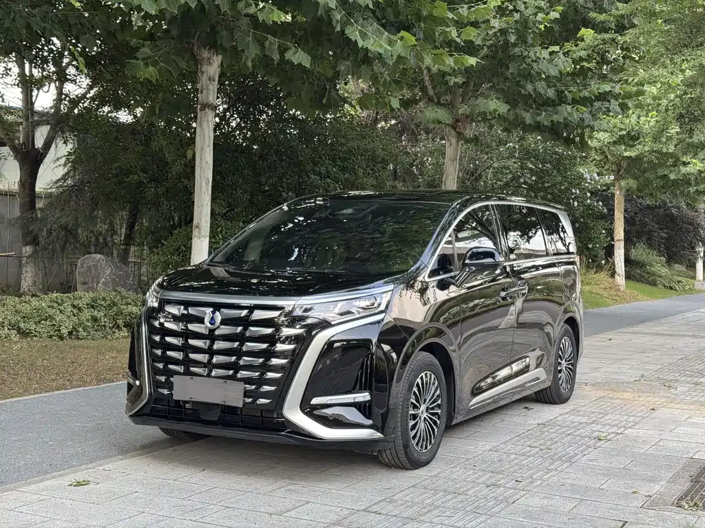 Denza D9 2024 DM-i 980 Luxury