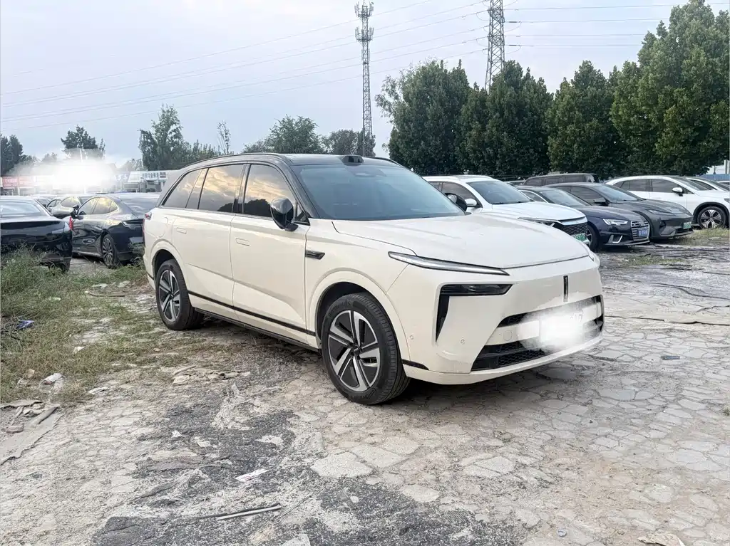 Wey Wey Lanshan — миниатюра 3
