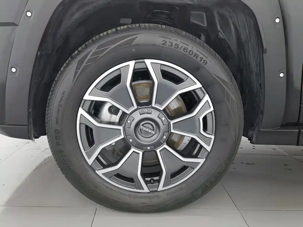 Haval Big Dog PLUS New Energy — миниатюра 17