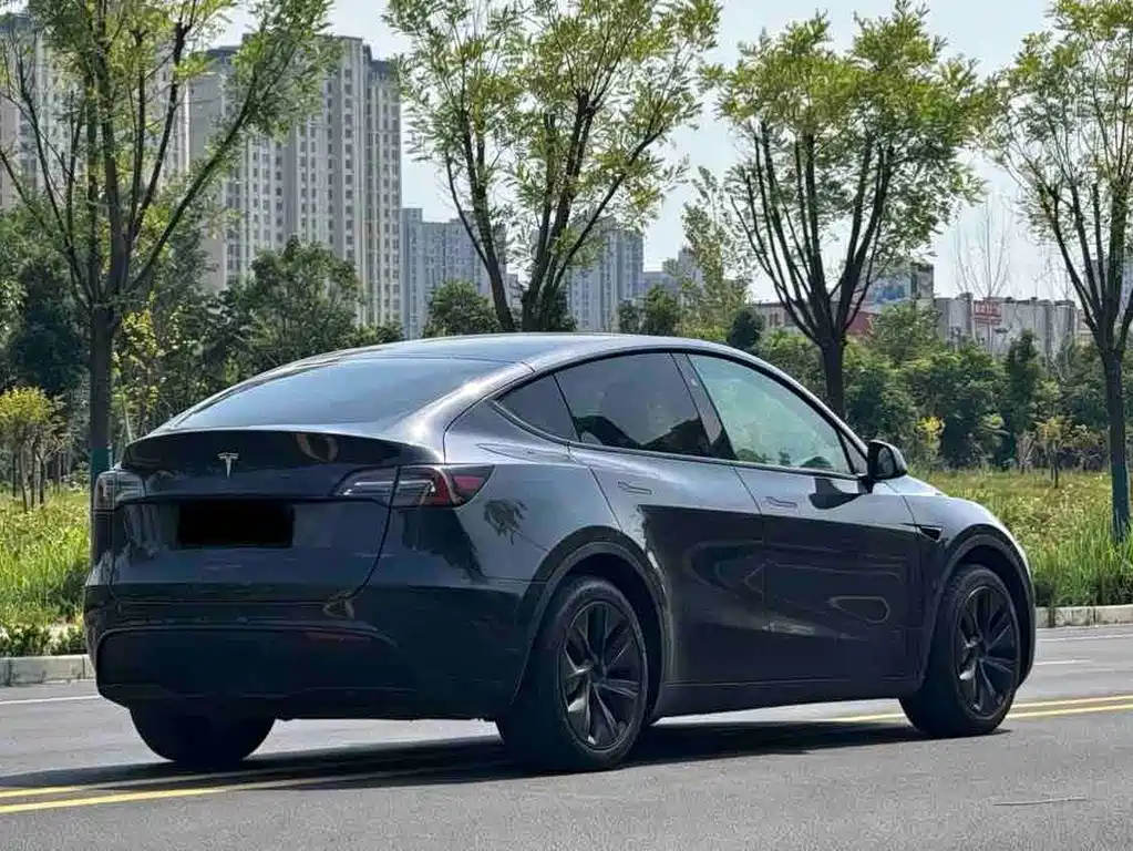 Tesla Model Y — миниатюра 9