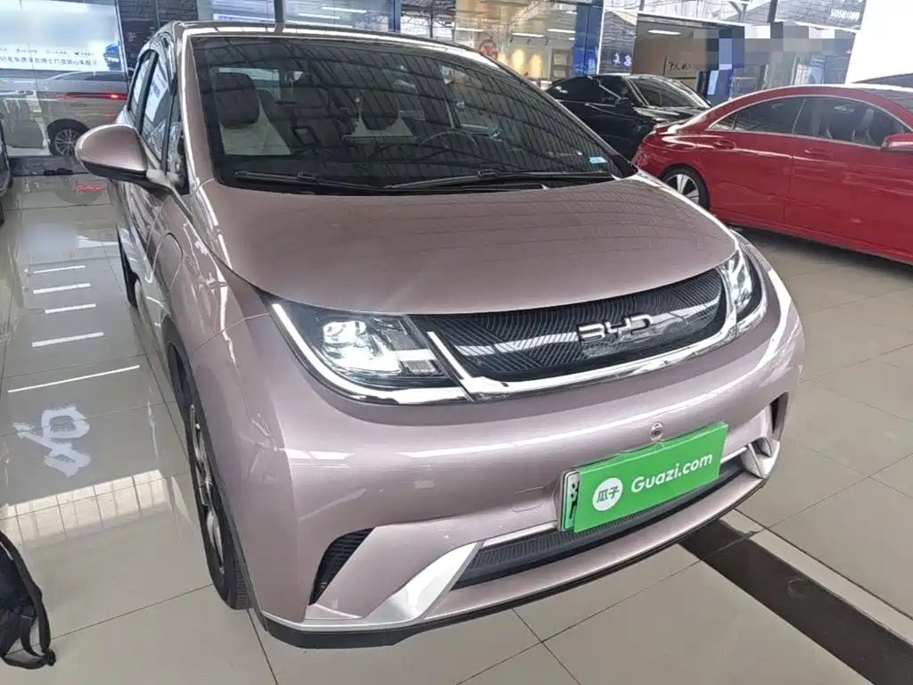 BYD Dolphin — миниатюра 4